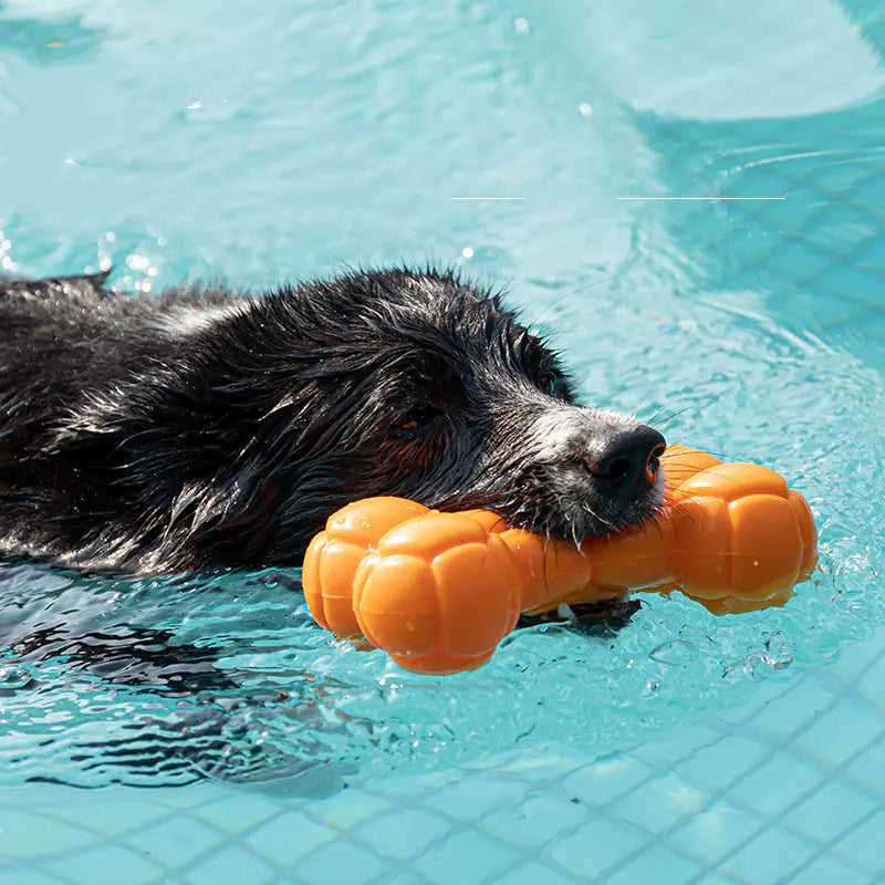 Floating Water-Resistant Bite-Resistant Pet Toy