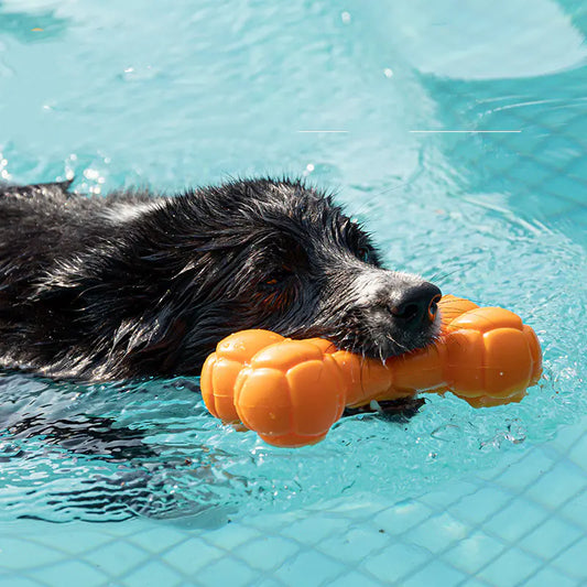 Floating Water-Resistant Bite-Resistant Pet Toy